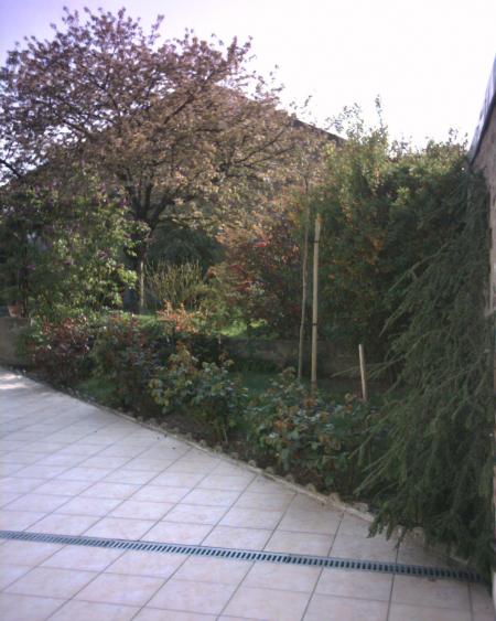 jardin chez mes parents