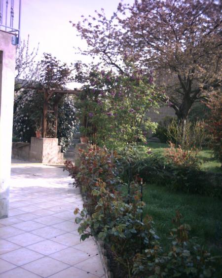 jardin chez mes parents